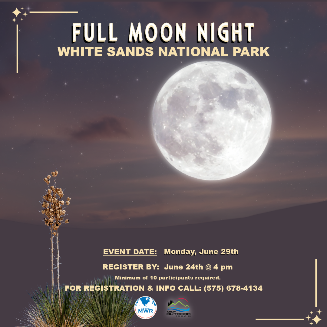 Full Moon Night